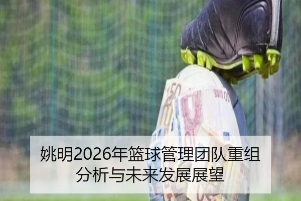 yao-ming-nian-lan-qiu-guan-li-tuan-dui-chong-zu-fen-xi-yu-wei-lai-fa-zhan-zhan-wang-2-164.jpg