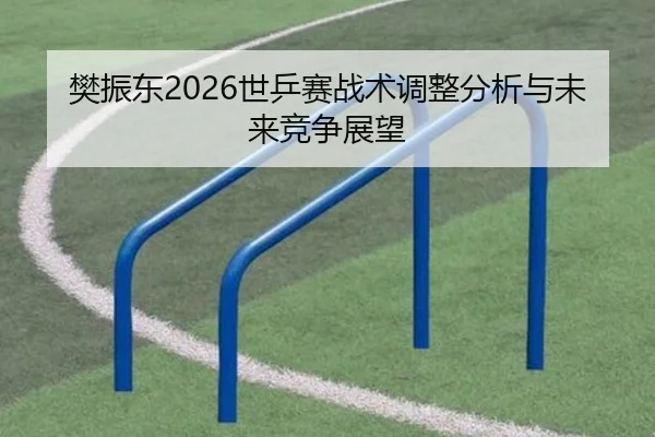 樊振东2026世乒赛战术调整分析与未来竞争展望