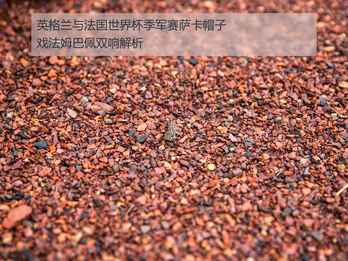 英格兰与法国世界杯季军赛萨卡帽子戏法姆巴佩双响解析